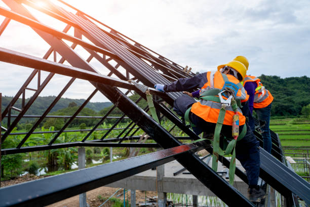 Best Roof Waterproofing Services  in Okawvle, IL